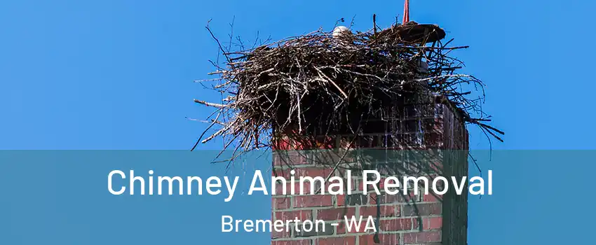 Chimney Animal Removal Bremerton - WA