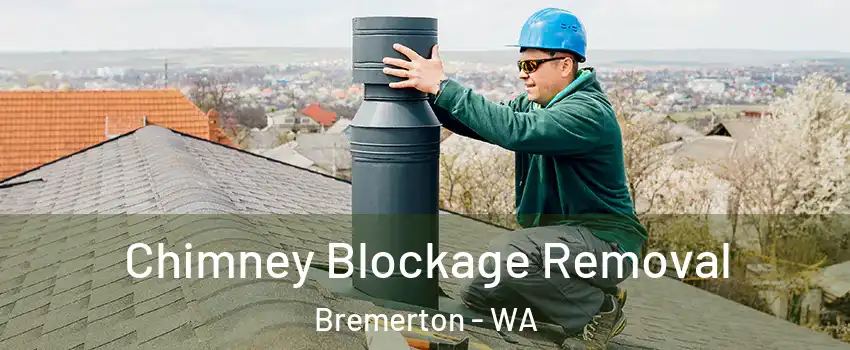  Chimney Blockage Removal Bremerton - WA