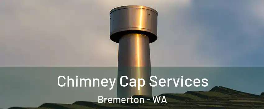  Chimney Cap Services Bremerton - WA