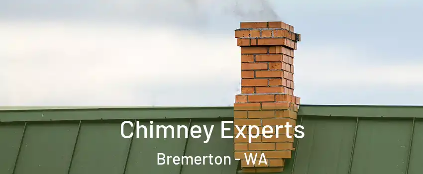  Chimney Experts Bremerton - WA