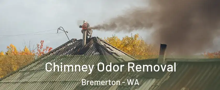  Chimney Odor Removal Bremerton - WA