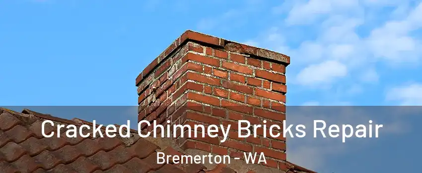  Cracked Chimney Bricks Repair Bremerton - WA
