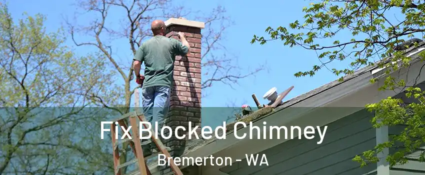  Fix Blocked Chimney Bremerton - WA
