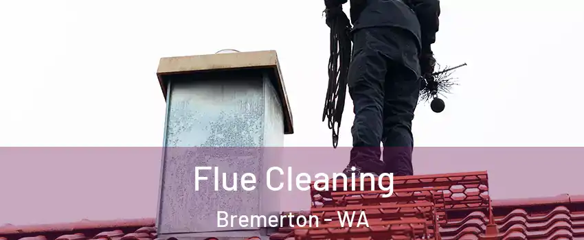  Flue Cleaning Bremerton - WA
