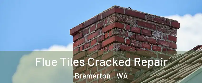  Flue Tiles Cracked Repair Bremerton - WA
