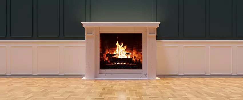 Napoleon Electric Fireplaces Inspection Service in Bremerton, Washington