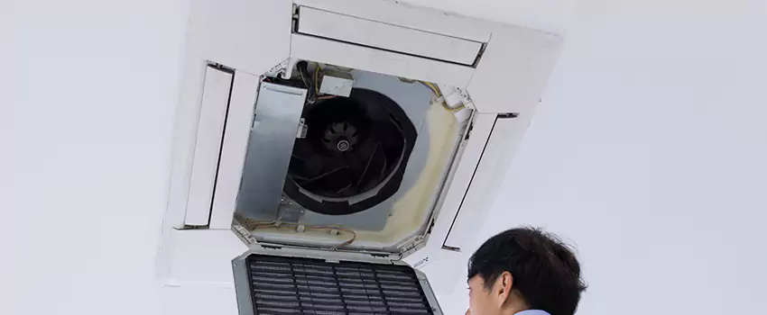 Benefits of Professional Air Duct Cleaning in Bremerton, Washington