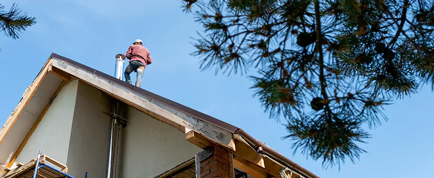 Birds Removal Contractors from Chimney in Bremerton, WA