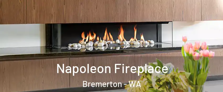  Napoleon Fireplace Bremerton - WA